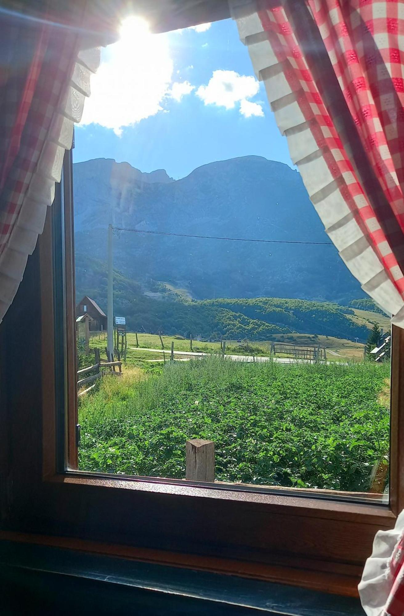 Family Farm Apartments Zabljak  Room photo